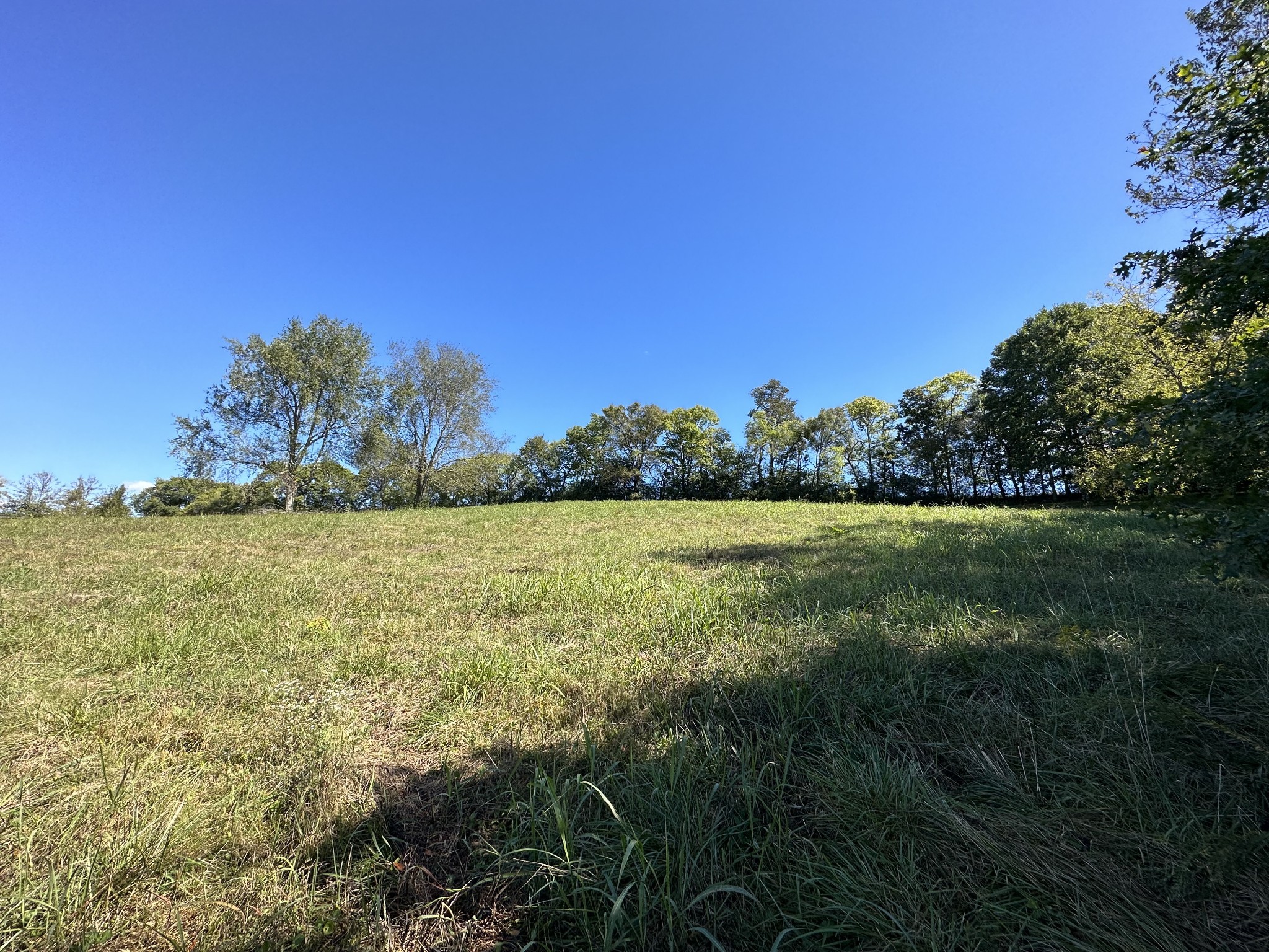 0 Hennessee Ridge Lane Lynchburg, TN 37352 - Photo 3 of 3 a view of a field with an ocean