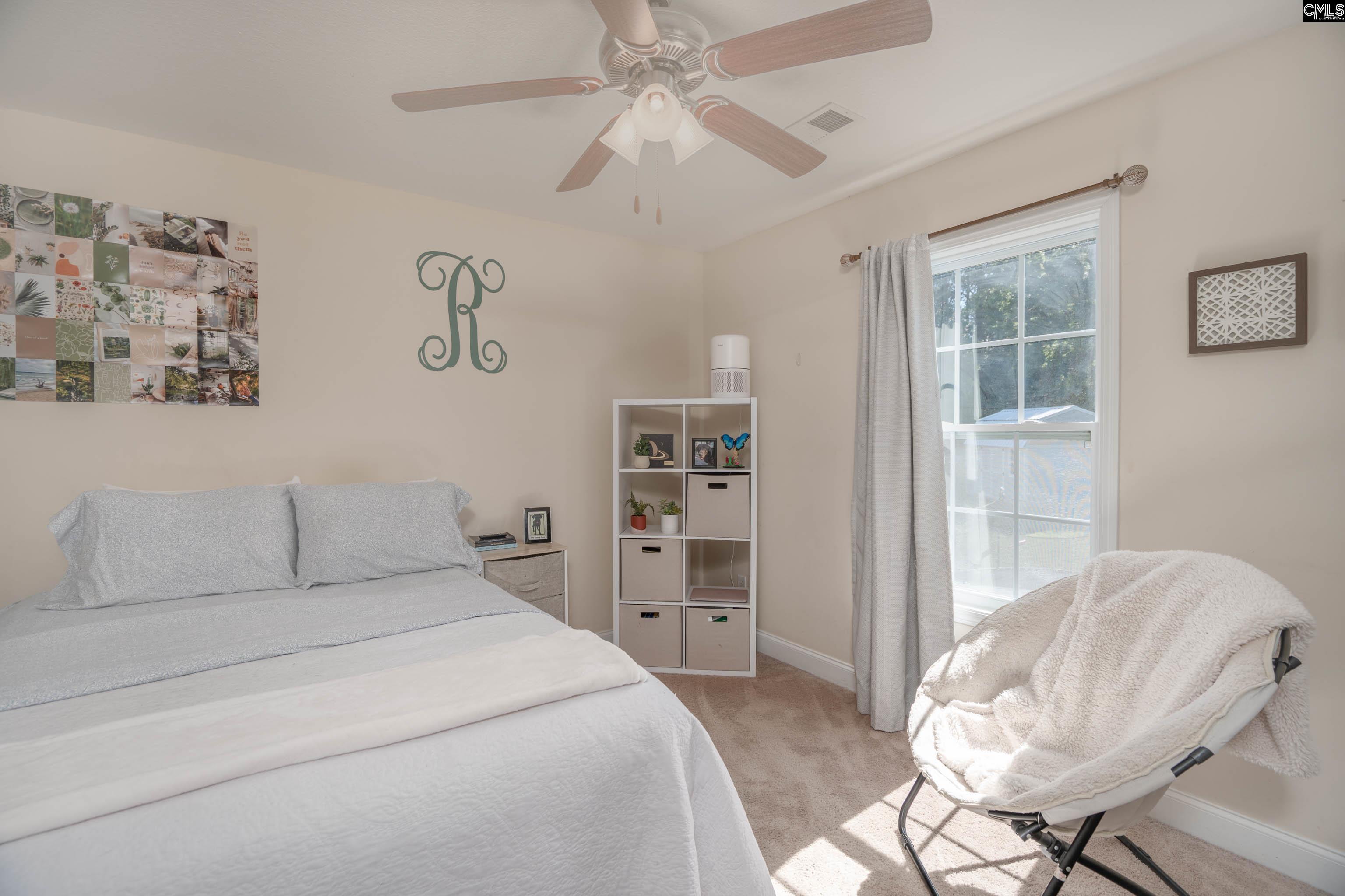 133 Palm Street Chapin, SC 29036 - Photo 18 of 37