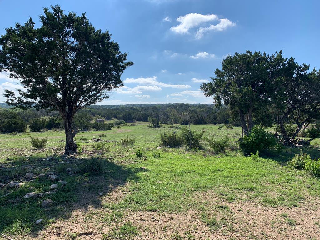 276 Sd 28530 Rocksprings, TX 78880 - Photo 5 of 18 a view of a garden