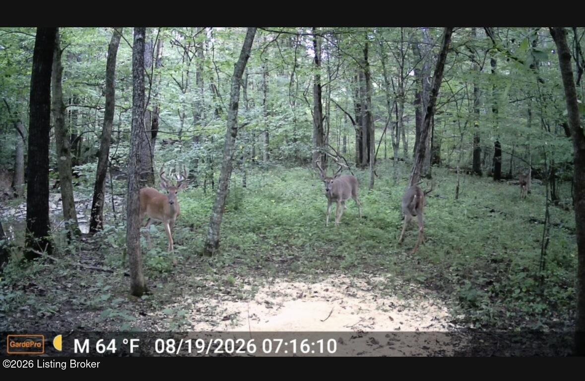 3977 Baker Ridge Road Mackville, KY 40040 - Photo 24 of 24 IMG_8566