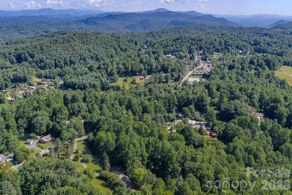 a view of a city with lush green forest