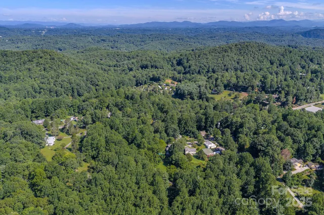 a view of a city with lush green forest