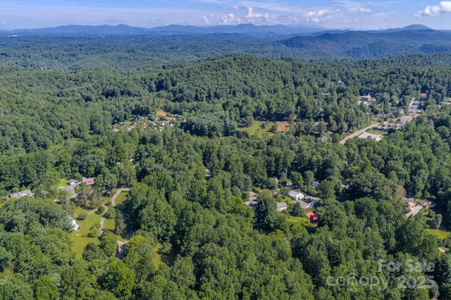 a view of a lush green hillside and a houses