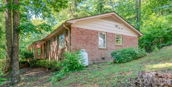 a backyard of a house with plants and large tree