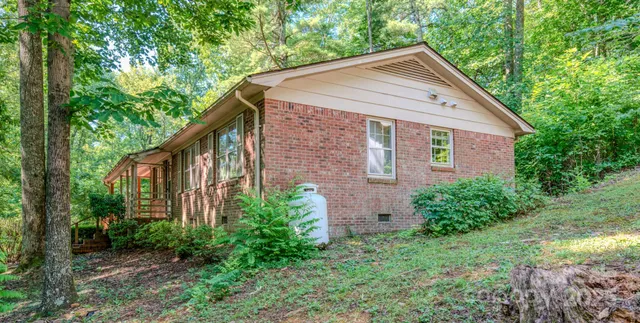 a backyard of a house with plants and large tree