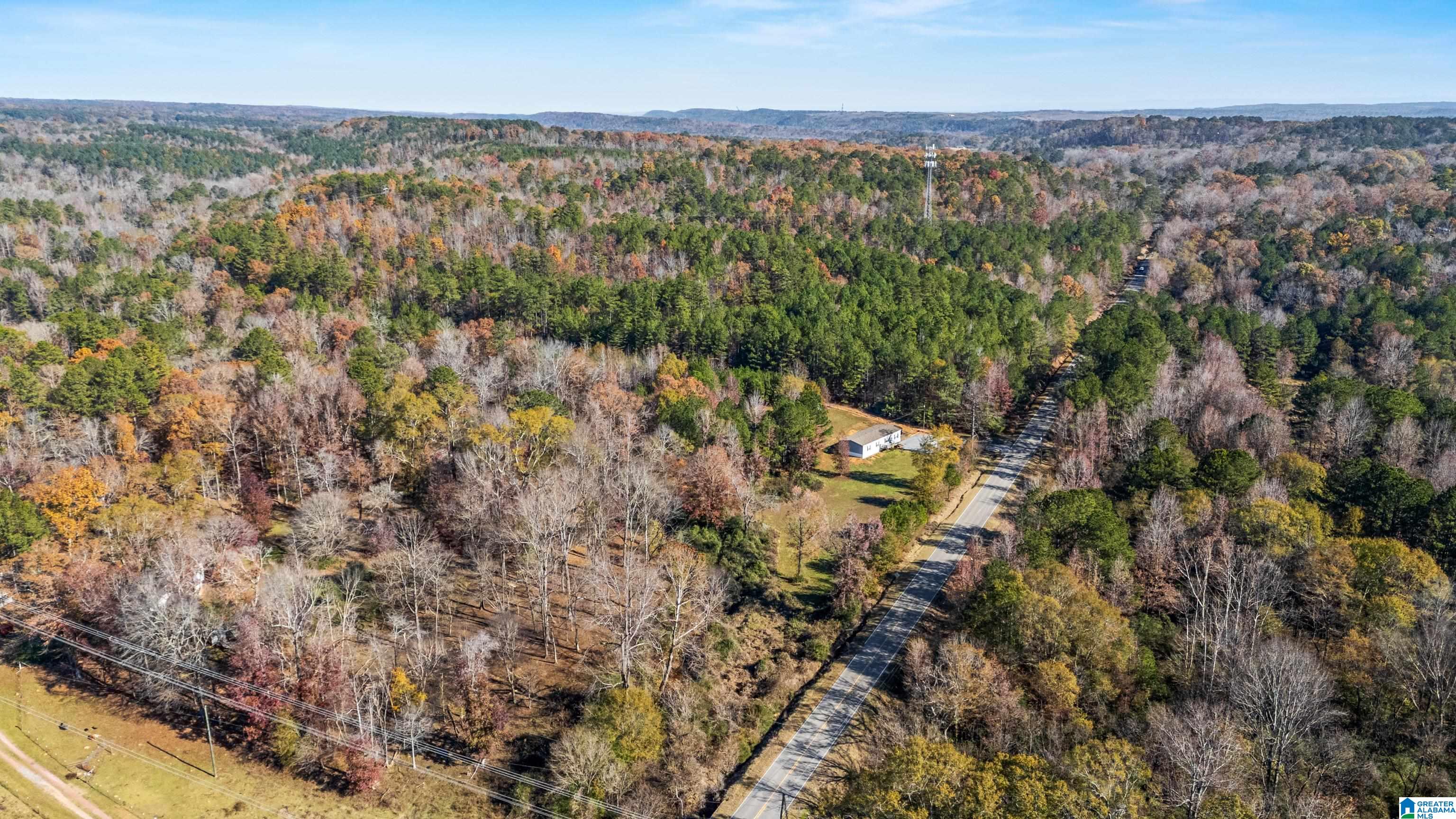 4135 Warrior Jasper Road Dora, AL 35062 - Photo 46 of 47