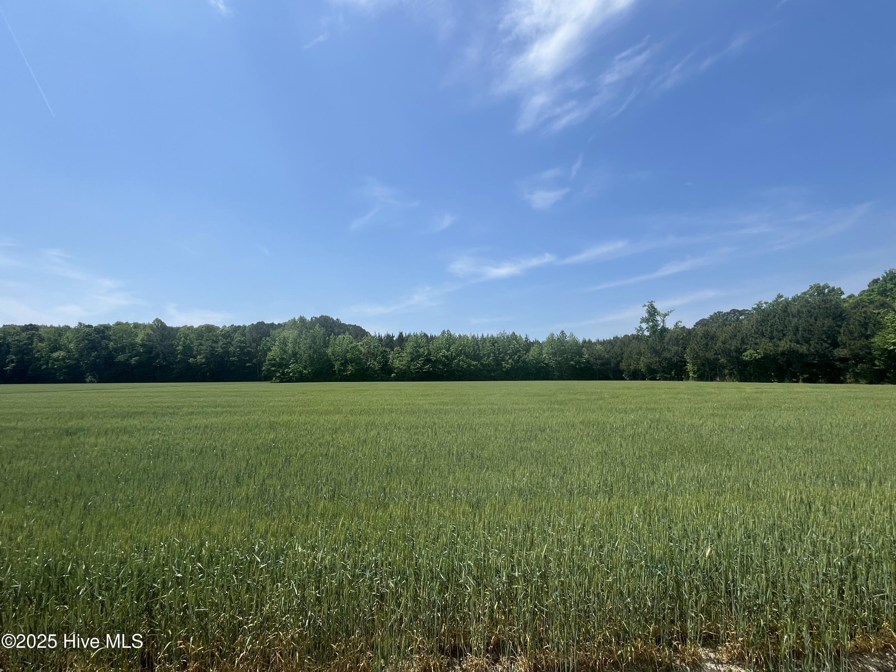 0 Clayhill Road Gatesville, NC 27938 - Photo 1 of 9 1_photo--clayhill-road
