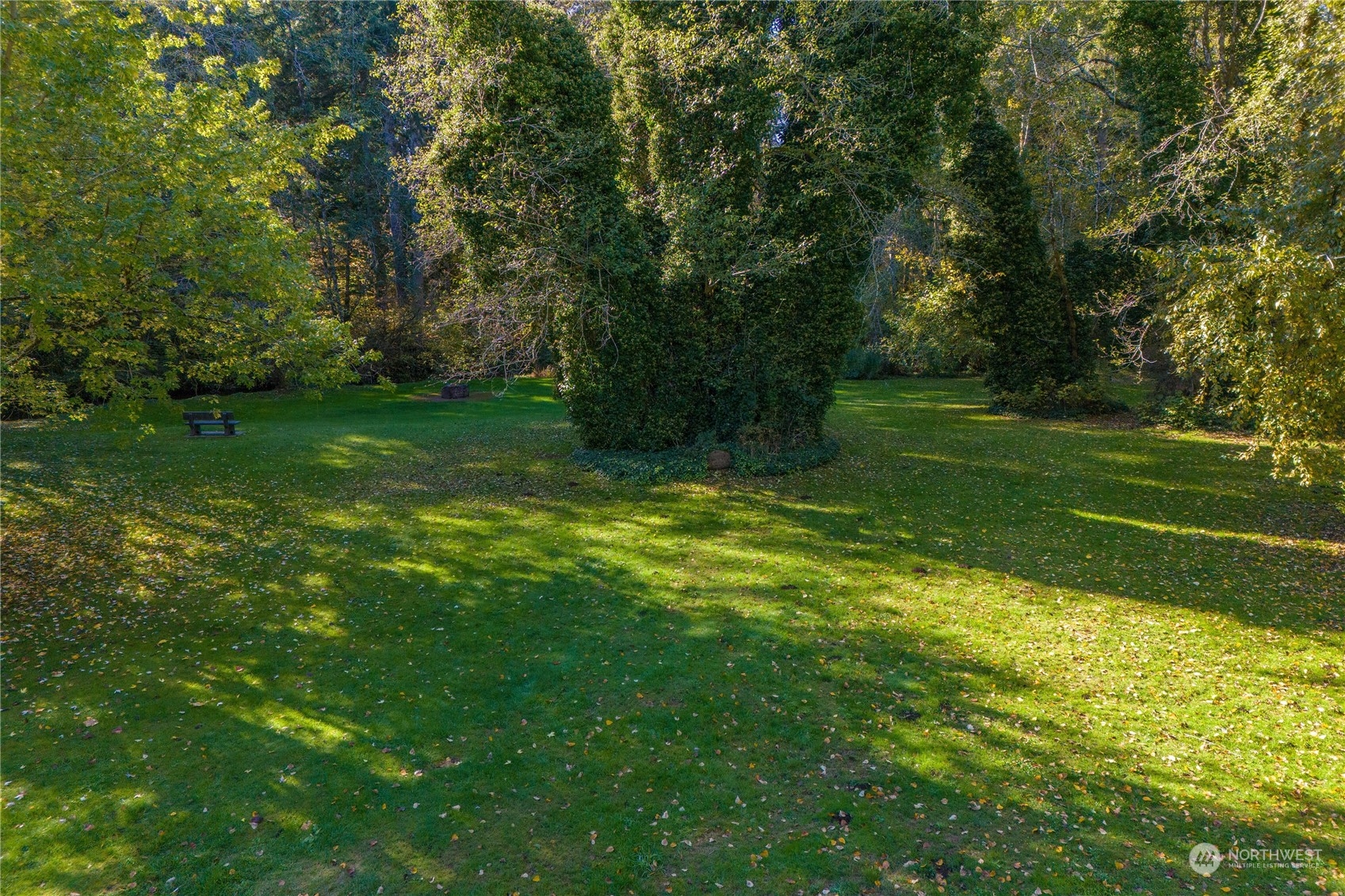 15-xx West Ford Road, Unit LOT5 Matlock, WA 98560 - Photo 15 of 19 Gallery Image 15