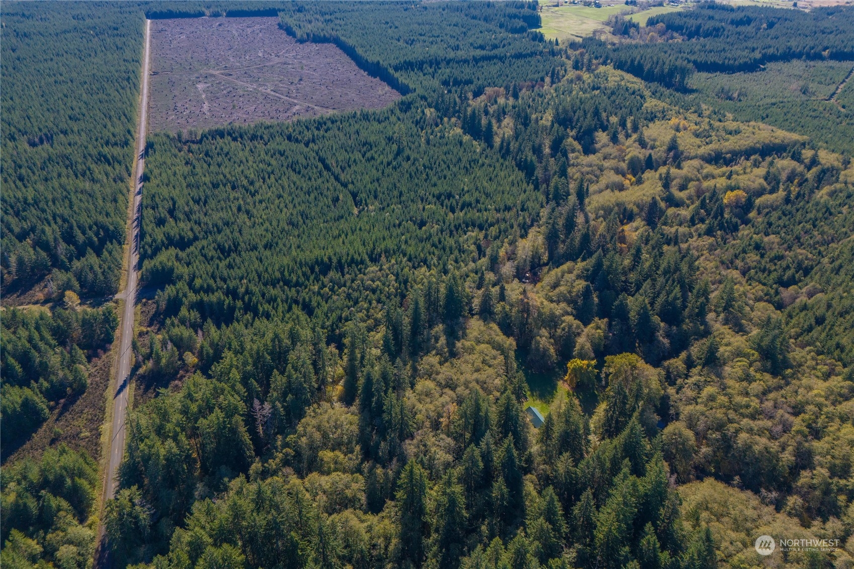 15-xx West Ford Road, Unit LOT5 Matlock, WA 98560 - Photo 17 of 19 Gallery Image 17