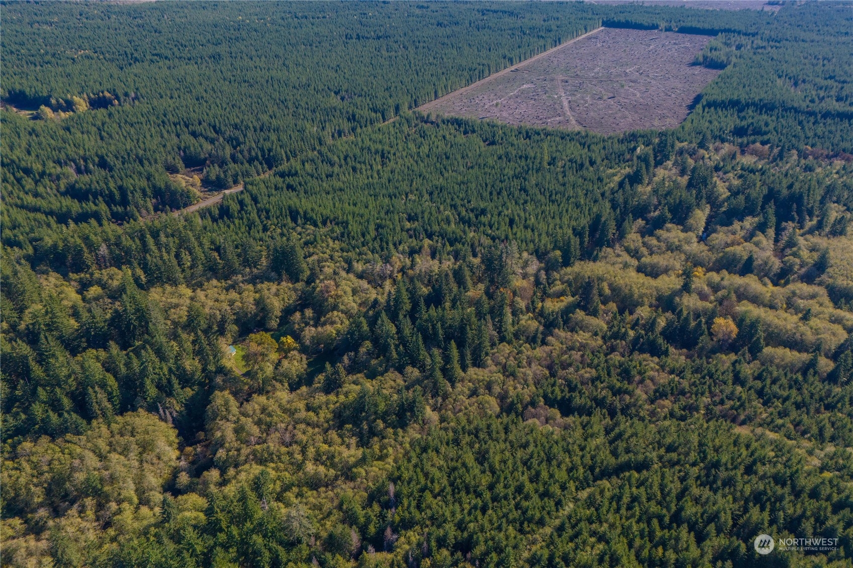 15-xx West Ford Road, Unit LOT5 Matlock, WA 98560 - Photo 18 of 19 Gallery Image 18