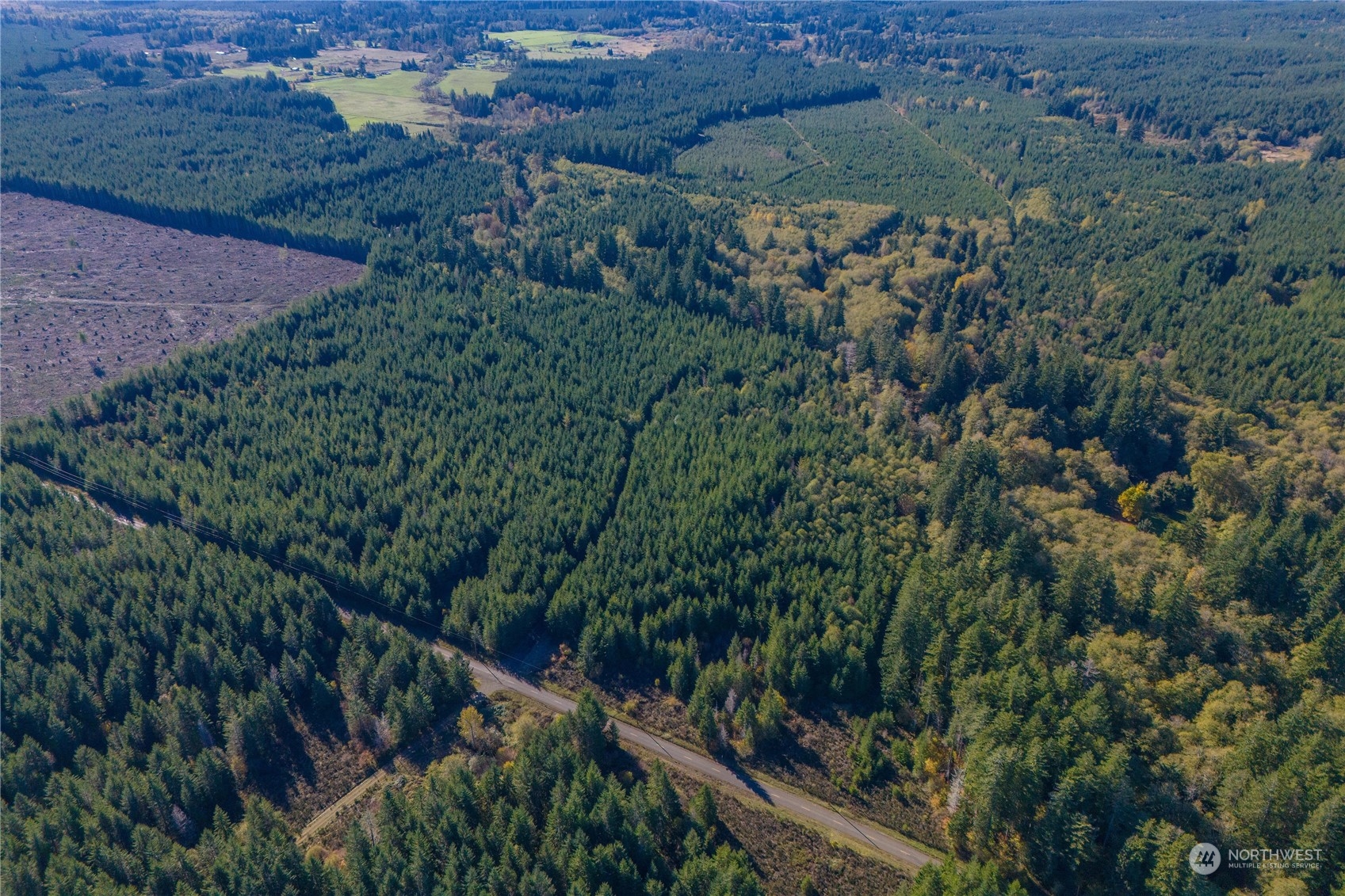 15-xx West Ford Road, Unit LOT5 Matlock, WA 98560 - Photo 19 of 19 Gallery Image 19