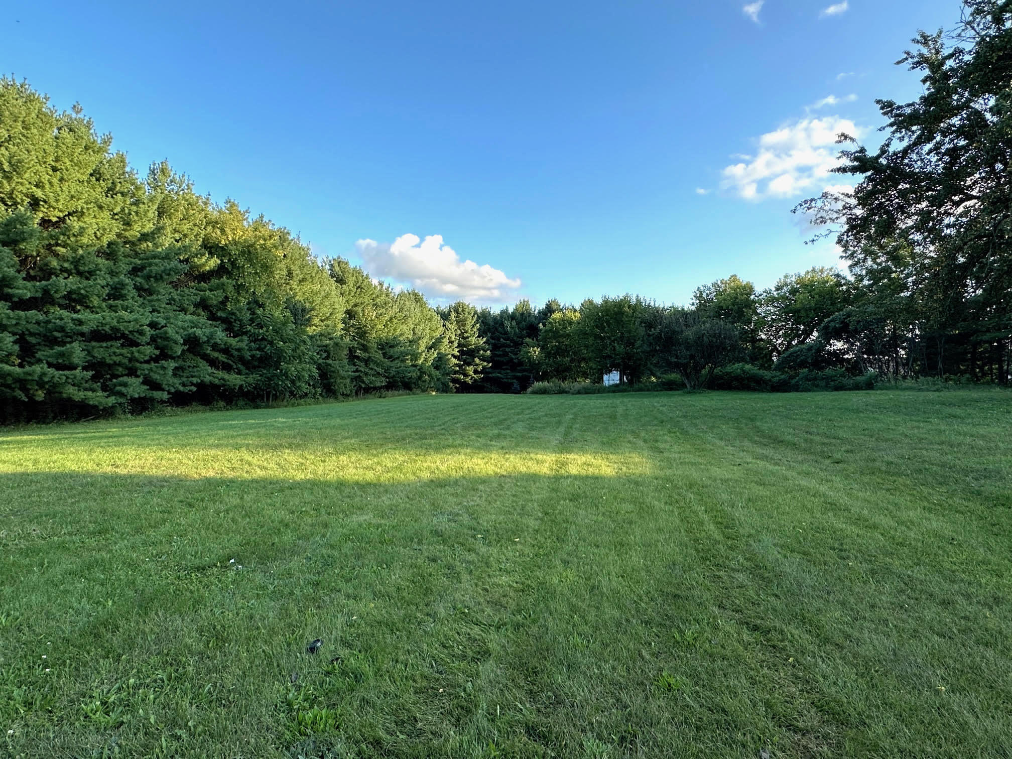 1917 West Blanchard Road Mount Pleasant, MI 48858 - Photo 6 of 25 6