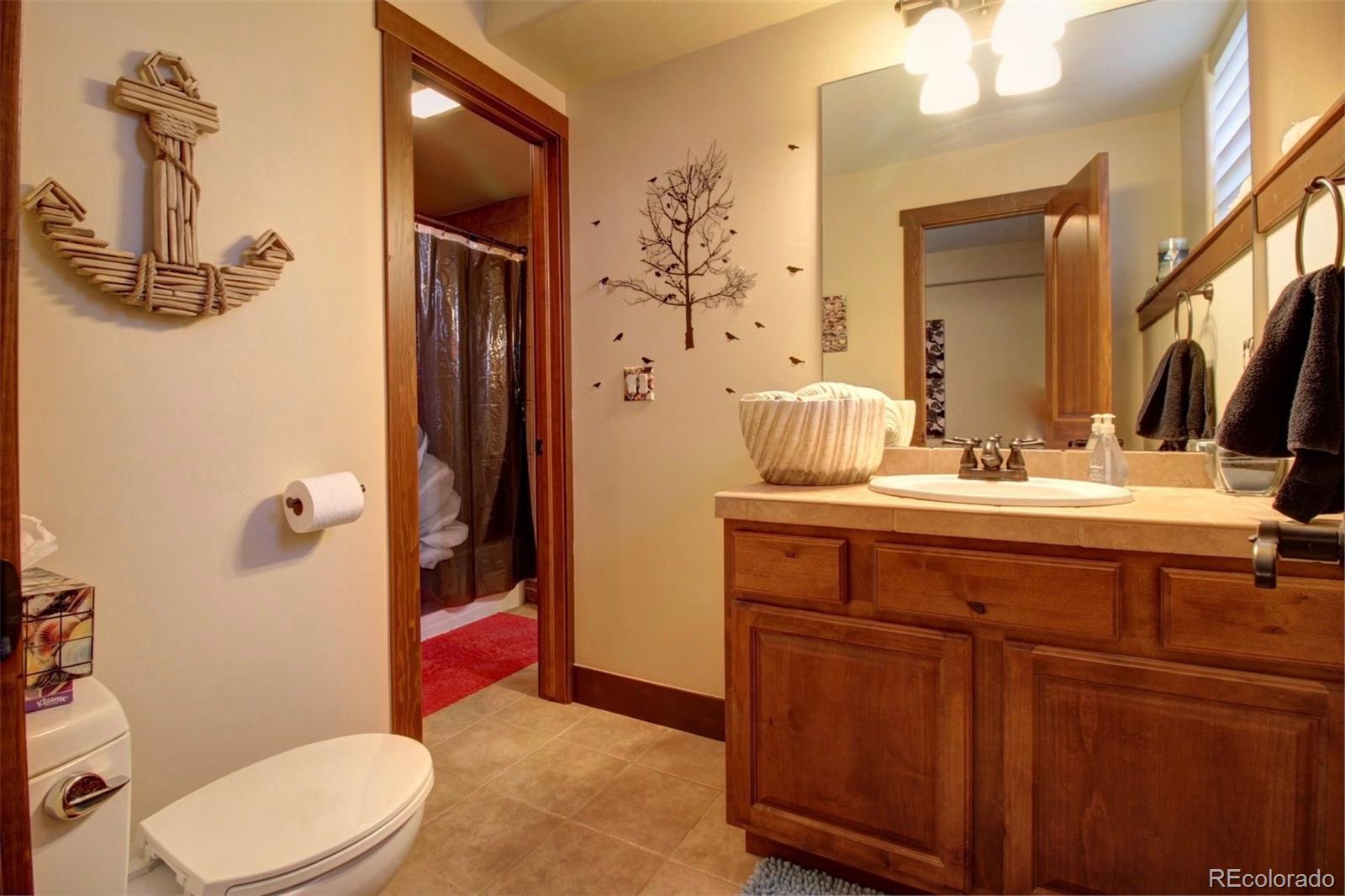 3095 South Piney Ridge Road Evergreen, CO 80439 - Photo 24 of 30 a bathroom with a sink a toilet and shower