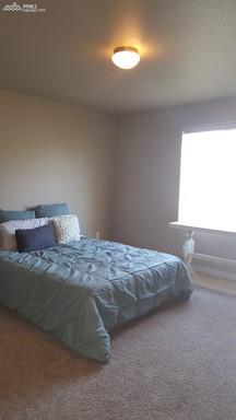 2375 Reed Grass Way Colorado Springs, CO 80915 - Photo 14 of 19