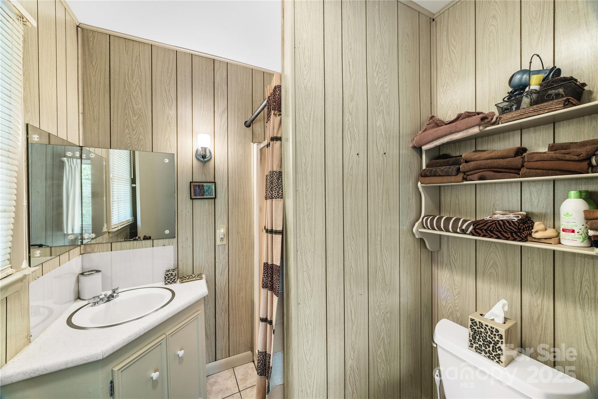 603 Green Hills Road Mill Spring, NC 28756 - Photo 17 of 47 a bathroom with a sink a toilet and shower