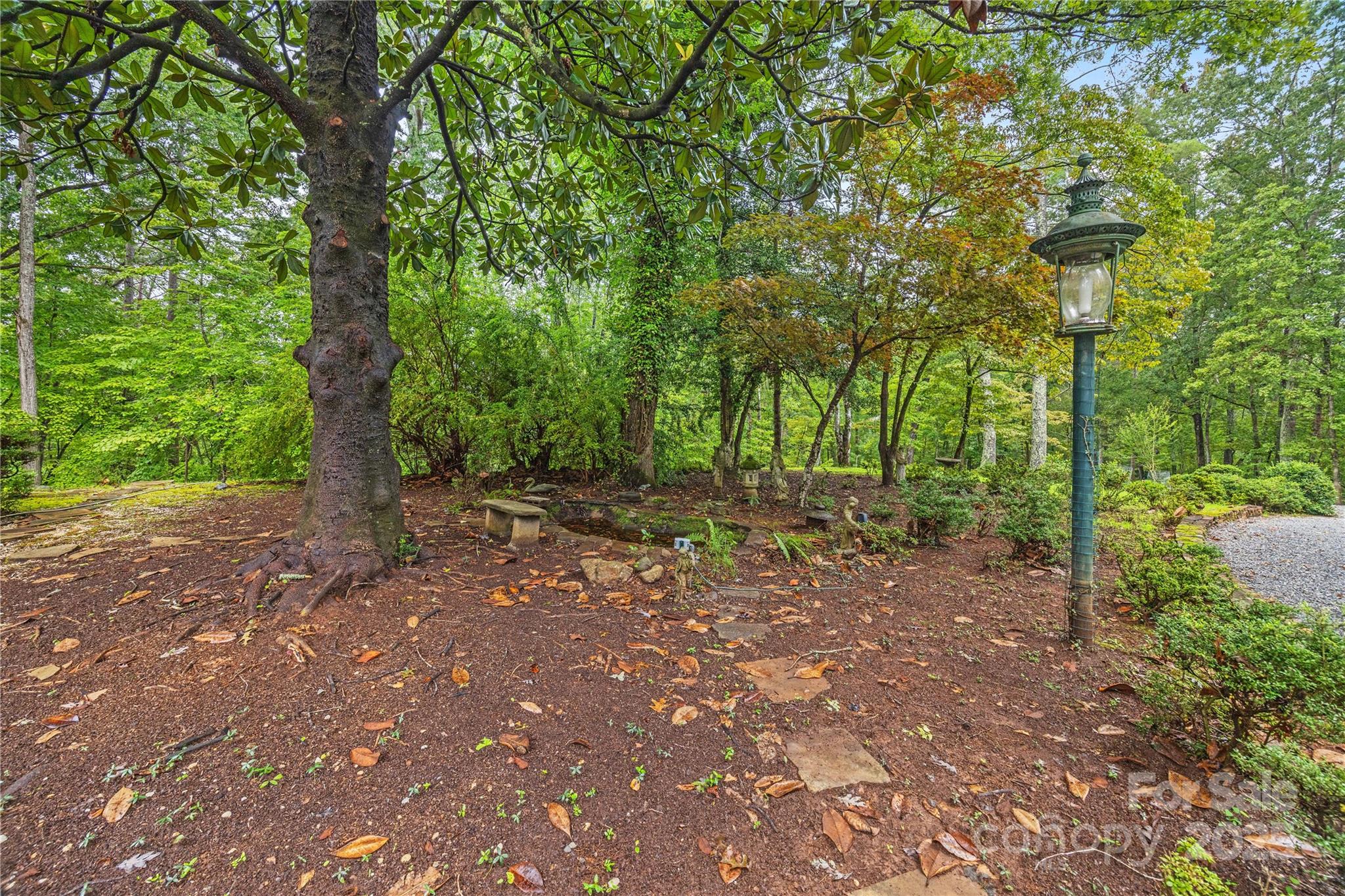 603 Green Hills Road Mill Spring, NC 28756 - Photo 41 of 47 a view of a forest with trees