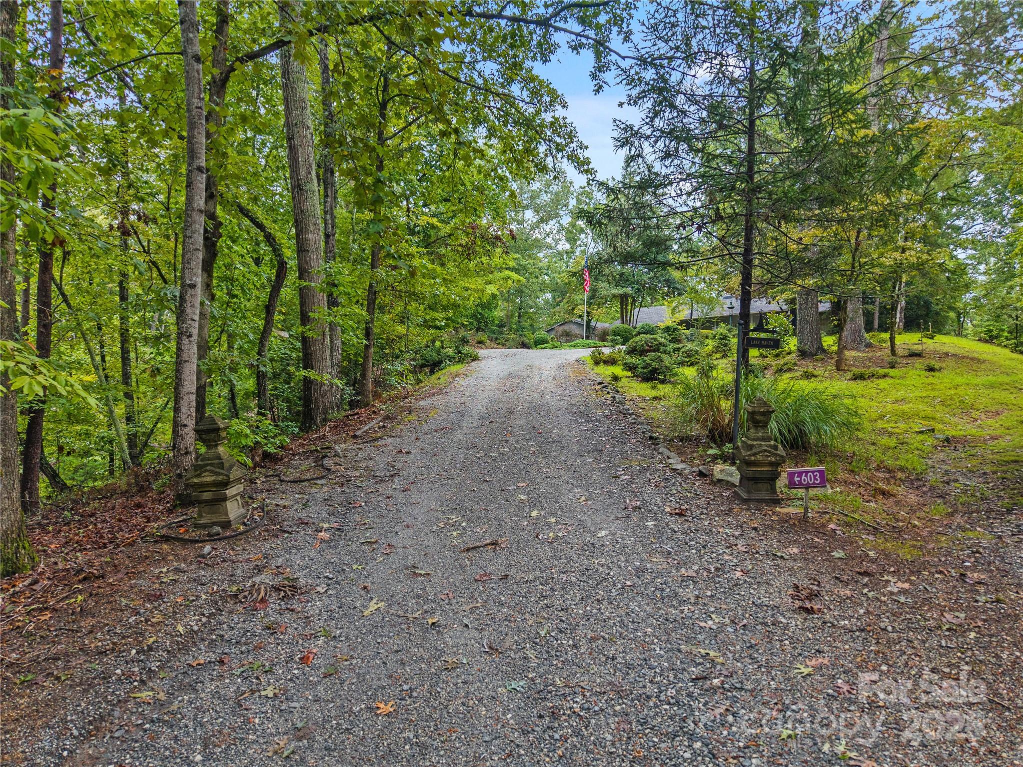 603 Green Hills Road Mill Spring, NC 28756 - Photo 42 of 47 a view of a yard with plants and trees