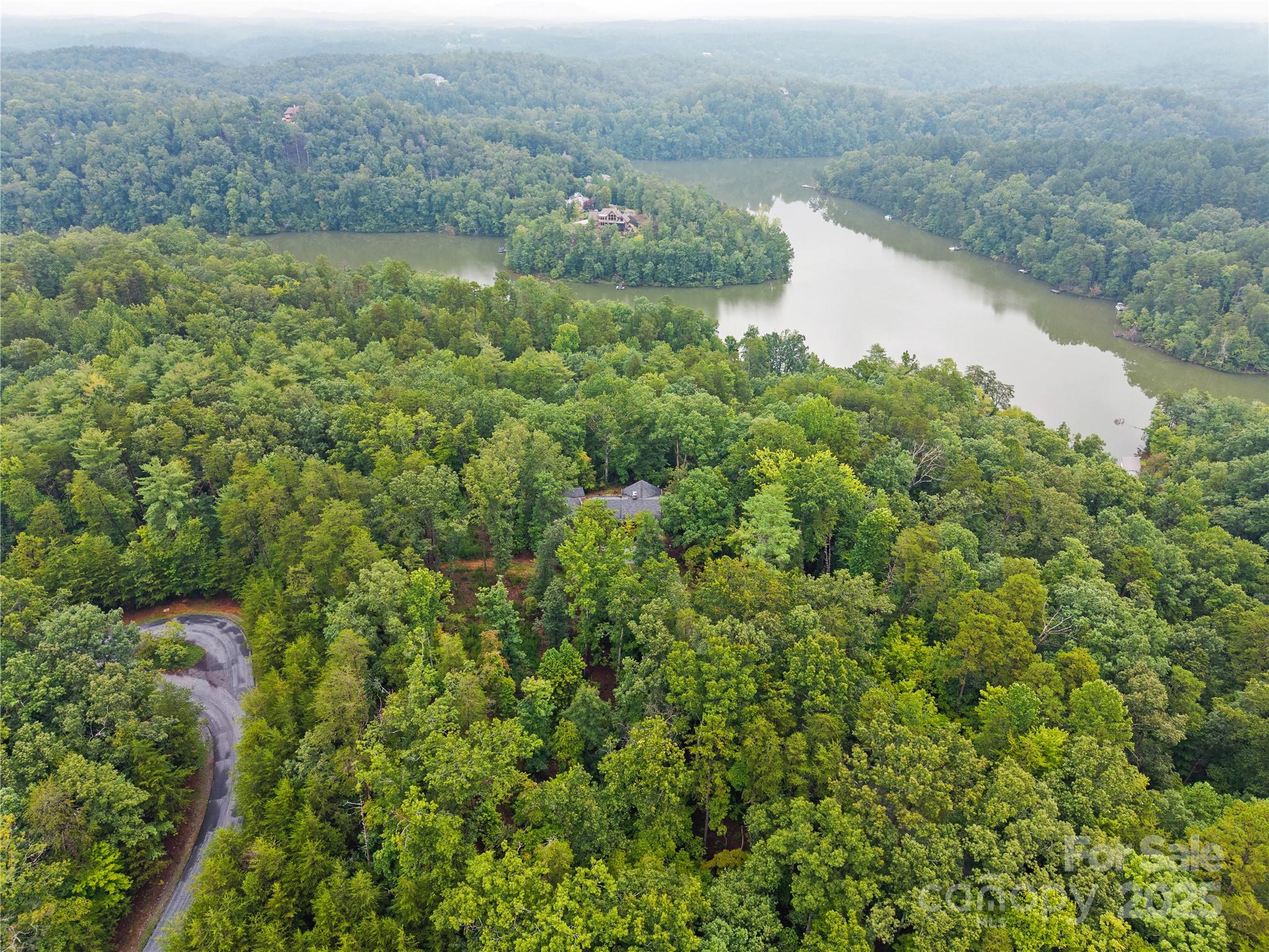 603 Green Hills Road Mill Spring, NC 28756 - Photo 45 of 47 an aerial view of residential house with outdoor space
