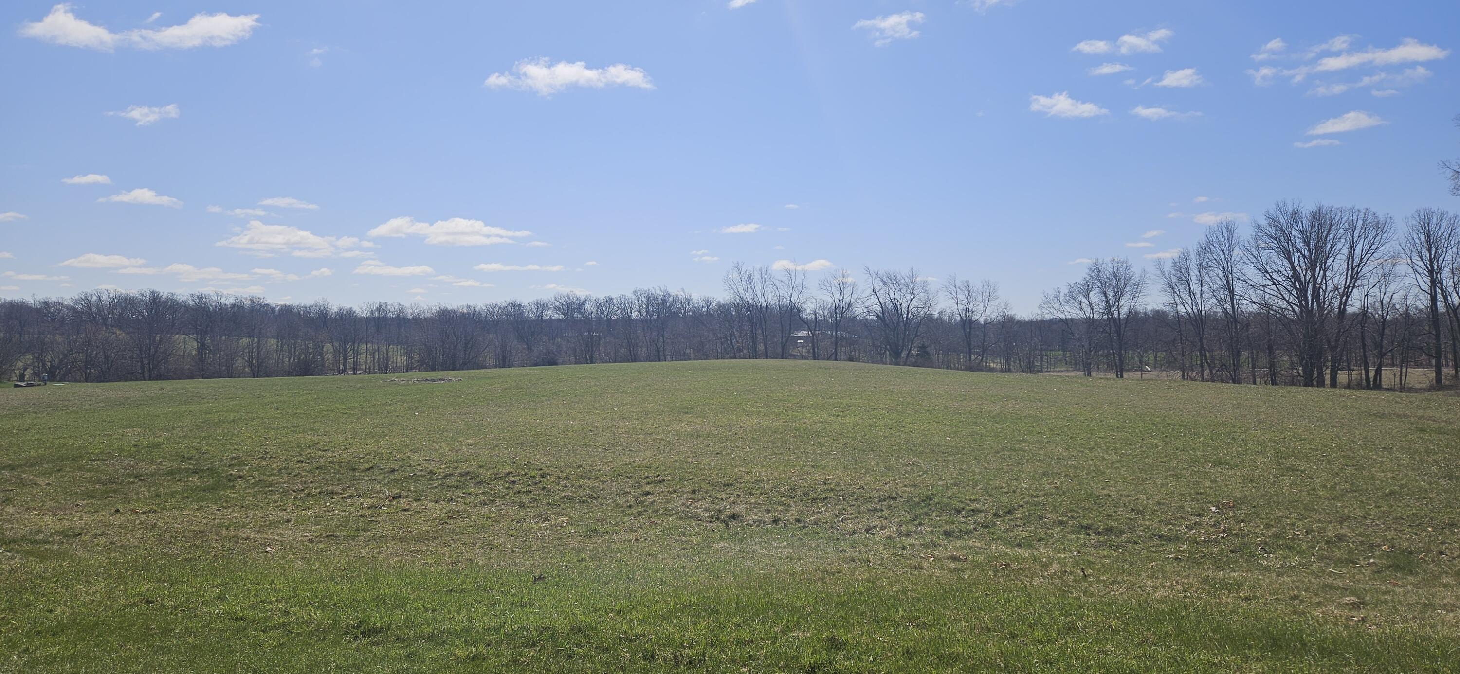13290 Tracey Road Manchester, MI 48158 - Photo 31 of 58 20250408_114508