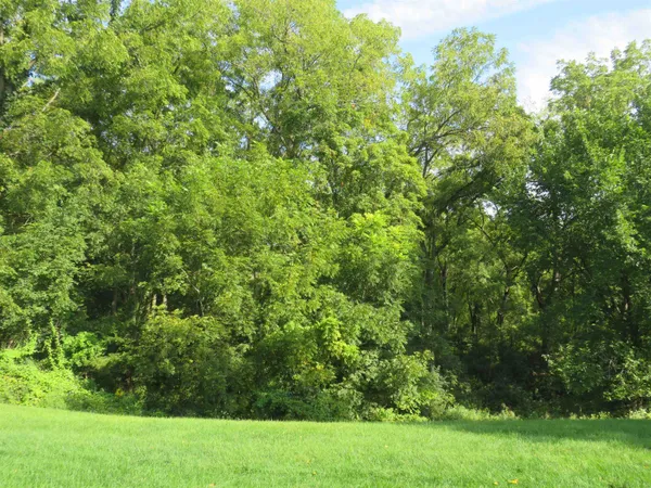 $310,000 | 812 Shadow Bluff Drive, Galena, IL 61036