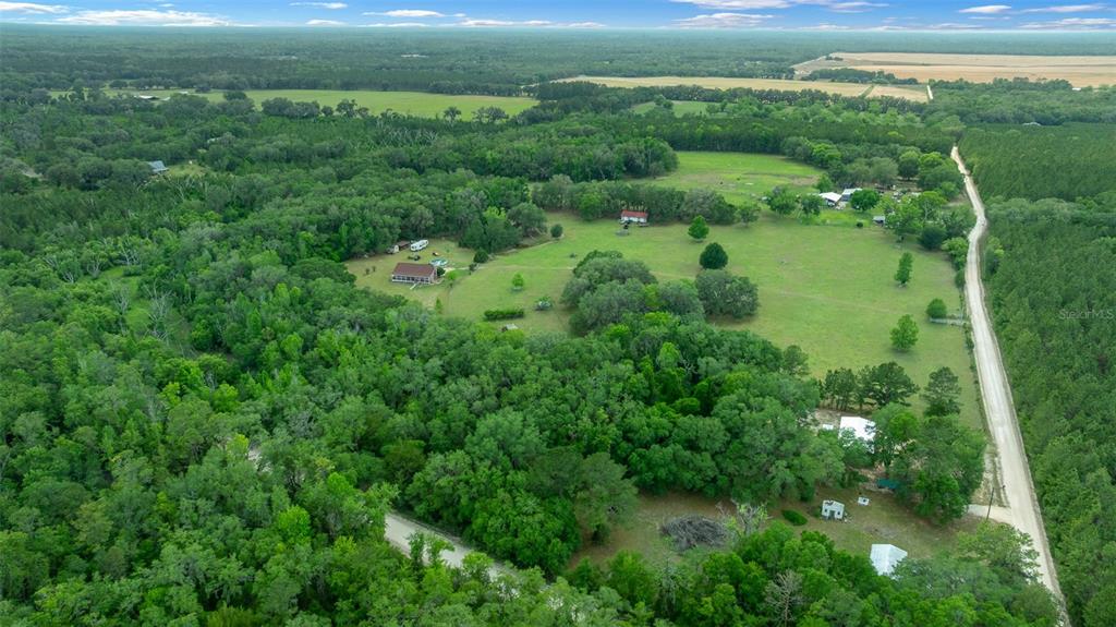 732 Carl Wilson Road Fort White, FL 32038 - Photo 60 of 80 a view of a lush green forest with lots of trees