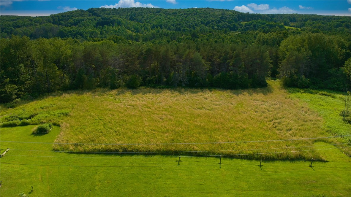 779-781 Copes Corners Road Butternuts, NY 13843 - Photo 13 of 50