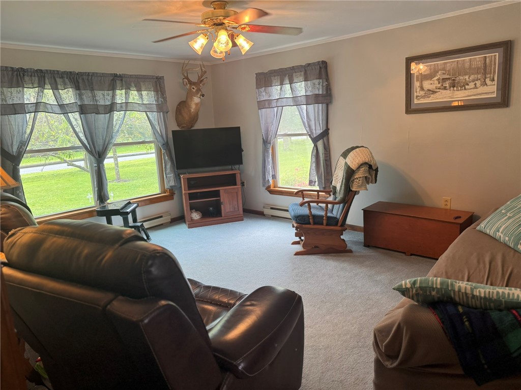 779-781 Copes Corners Road Butternuts, NY 13843 - Photo 19 of 50