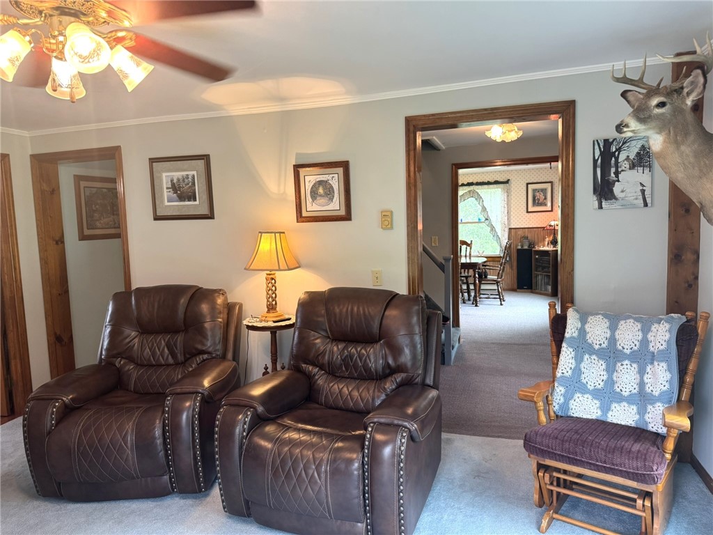 779-781 Copes Corners Road Butternuts, NY 13843 - Photo 20 of 50