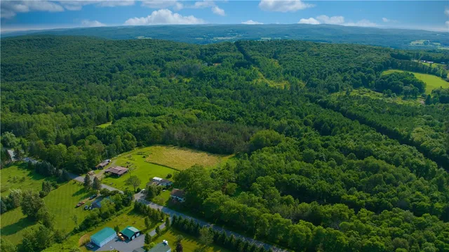 $349,000 | 779-781 Copes Corners Road, Butternuts, NY 13843