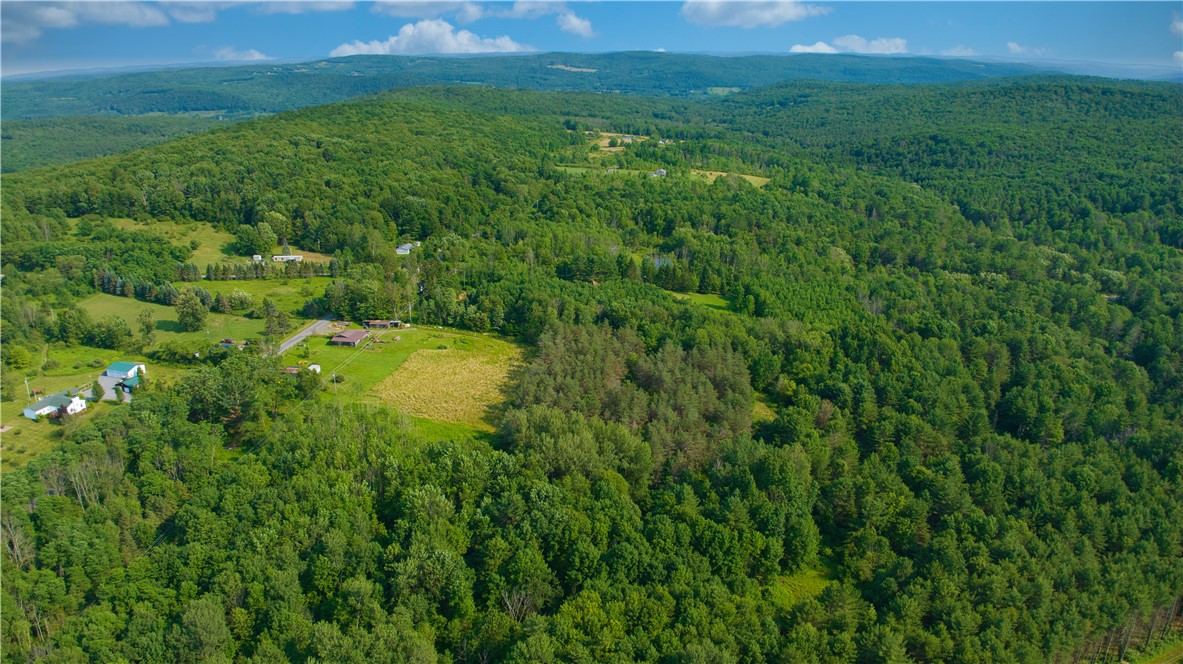 779-781 Copes Corners Road Butternuts, NY 13843 - Photo 5 of 50