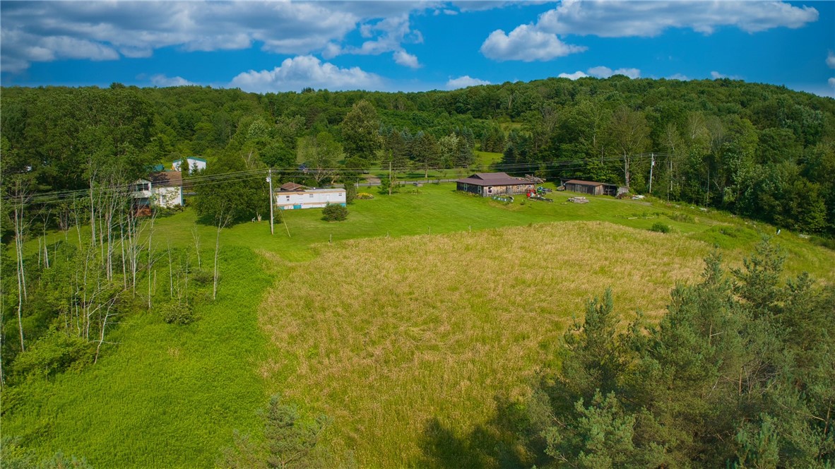 779-781 Copes Corners Road Butternuts, NY 13843 - Photo 6 of 50