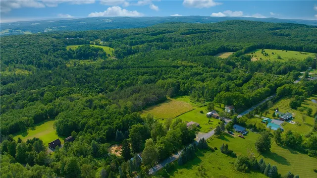 $349,000 | 779-781 Copes Corners Road, Butternuts, NY 13843