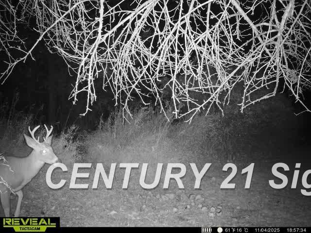North Juddville Road Corunna, MI 48817 - Photo 37 of 37 Gallery Image 37