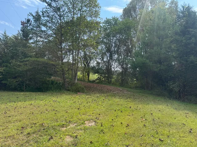 a view of an outdoor space and a yard