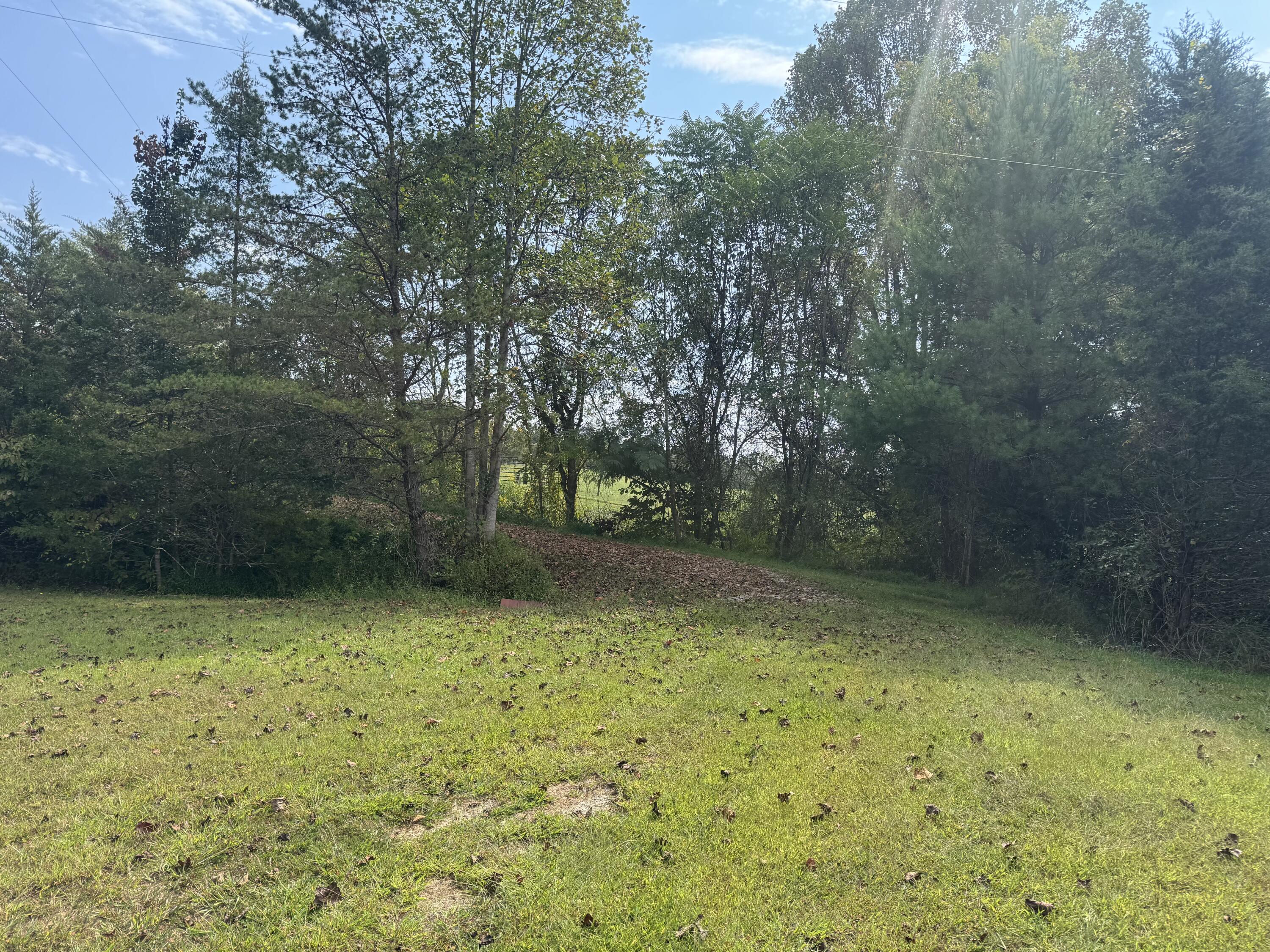 7180 Henry Road Henry, VA 24102 - Photo 11 of 12 a view of a yard