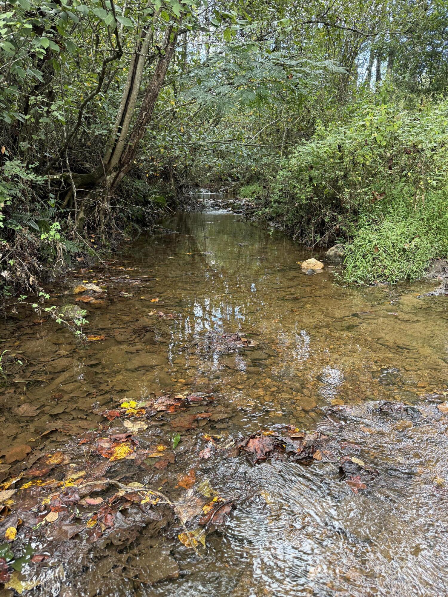 7180 Henry Road Henry, VA 24102 - Photo 5 of 12 a view of lake