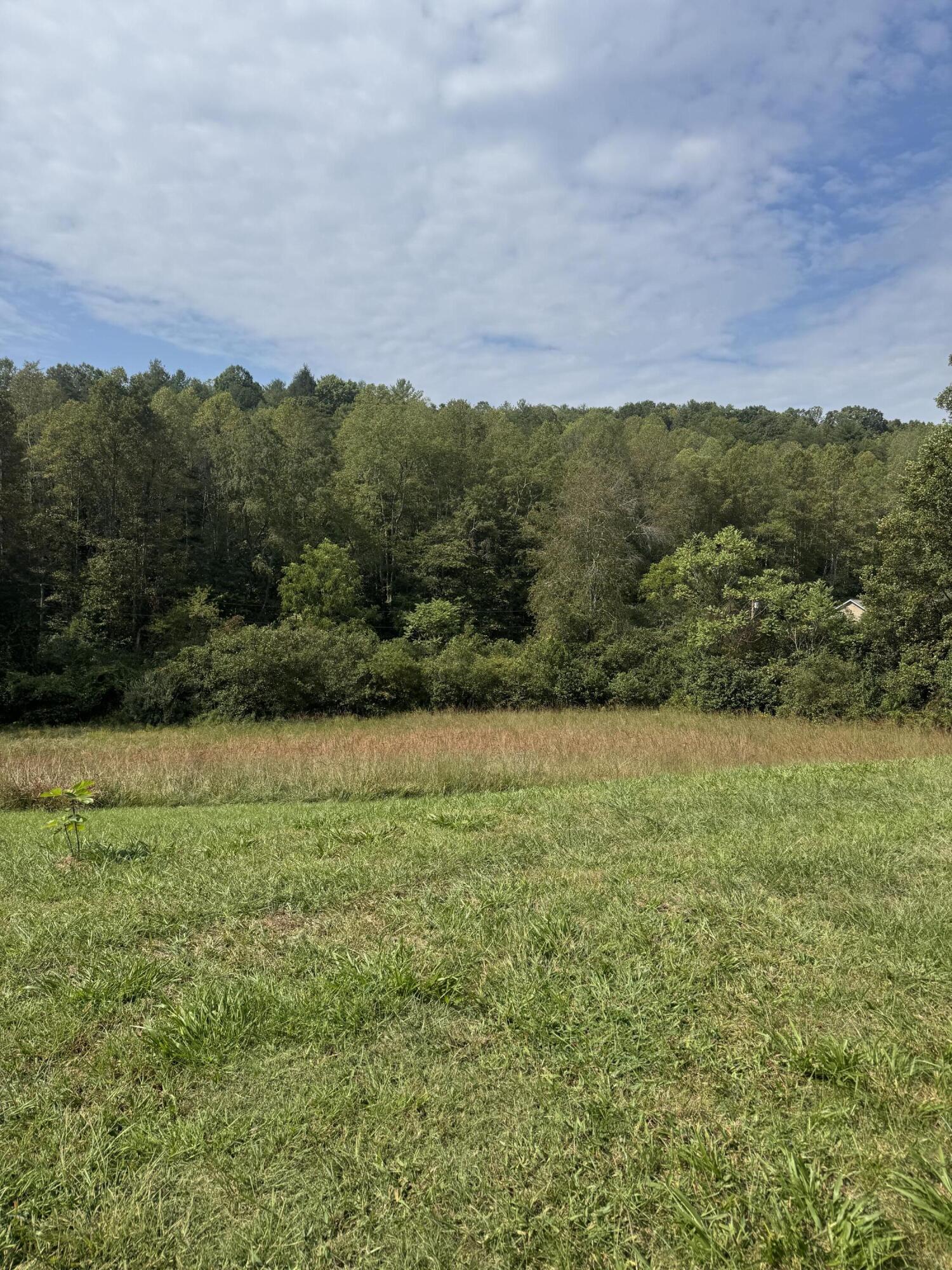 7180 Henry Road Henry, VA 24102 - Photo 10 of 12 a view of a field with an ocean