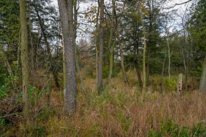 4 4 Mile Road Blanchard, MI 49310 - Photo 12 of 27 12