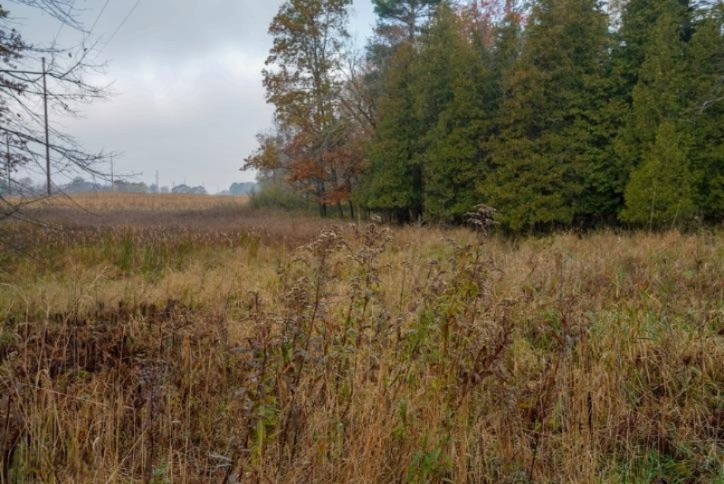 4 4 Mile Road Blanchard, MI 49310 - Photo 13 of 27 13