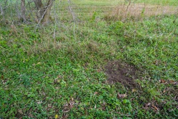 4 4 Mile Road Blanchard, MI 49310 - Photo 16 of 27 16