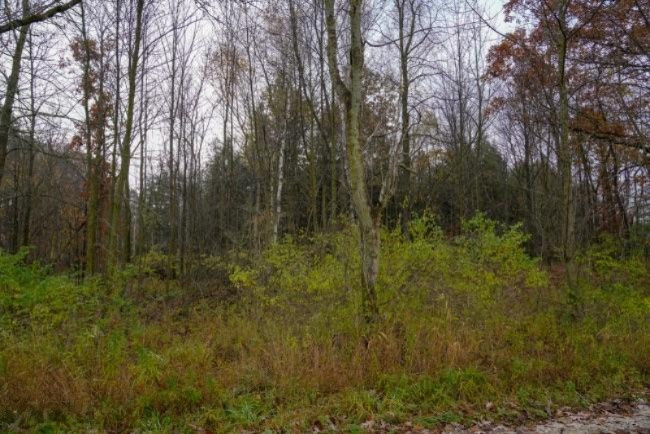 4 4 Mile Road Blanchard, MI 49310 - Photo 18 of 27 18