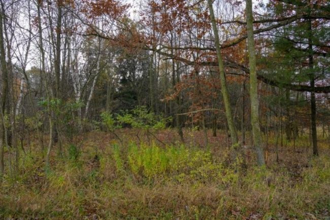 4 4 Mile Road Blanchard, MI 49310 - Photo 19 of 27 19