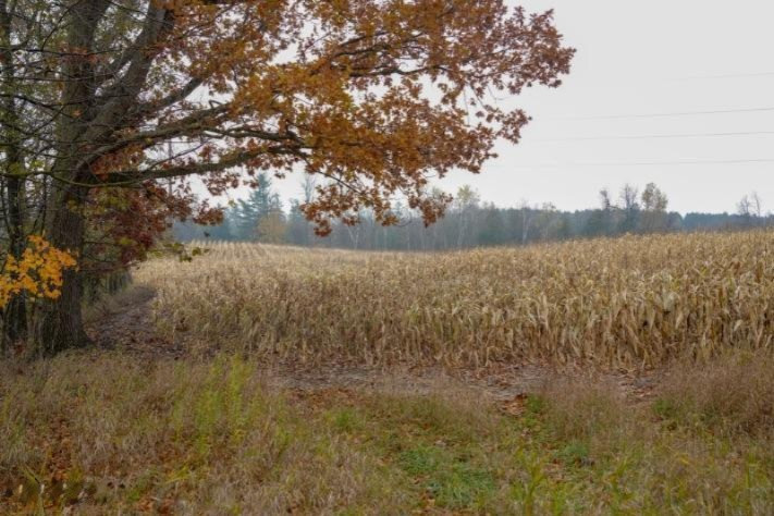 4 4 Mile Road Blanchard, MI 49310 - Photo 20 of 27 20