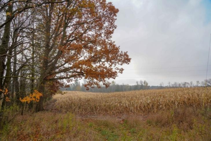 4 4 Mile Road Blanchard, MI 49310 - Photo 21 of 27 21