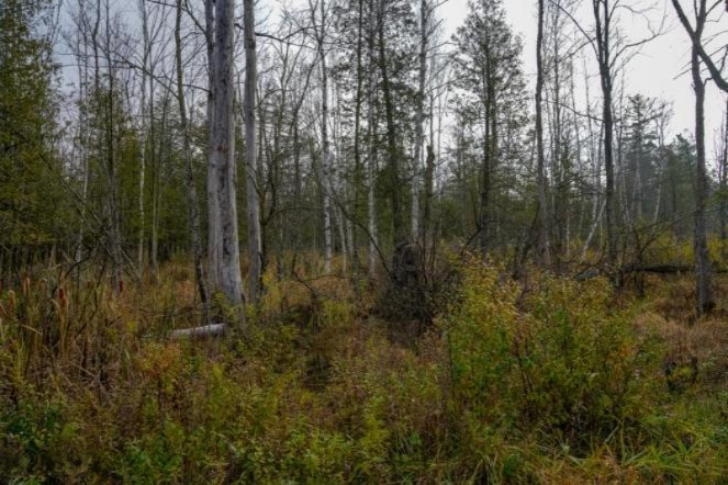 4 4 Mile Road Blanchard, MI 49310 - Photo 23 of 27 23