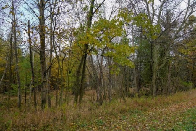 4 4 Mile Road Blanchard, MI 49310 - Photo 6 of 27 6