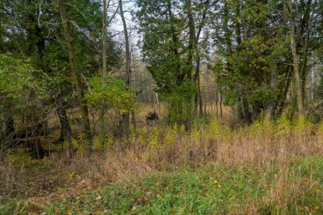 4 4 Mile Road Blanchard, MI 49310 - Photo 8 of 27 8