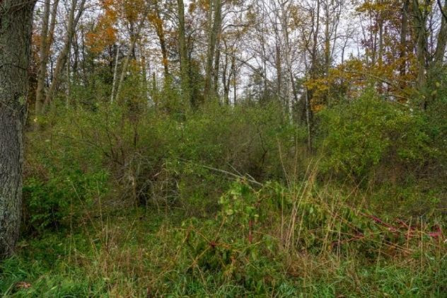 4 4 Mile Road Blanchard, MI 49310 - Photo 10 of 27 10