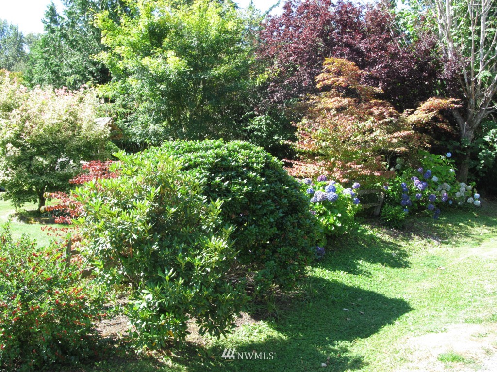 3843 Spring Coulee Road Bellingham, WA 98226 - Photo 14 of 15