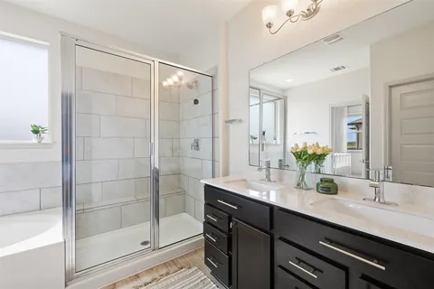 a bathroom with a shower sink and mirror